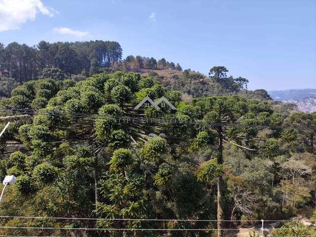 #c2140a - Casa para Venda em Campos do Jordão - SP - 2