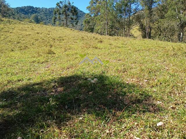 #t802a - Área para Venda em Campos do Jordão - SP - 2