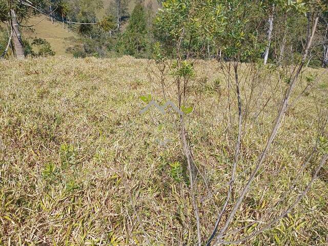 #t802a - Área para Venda em Campos do Jordão - SP - 3