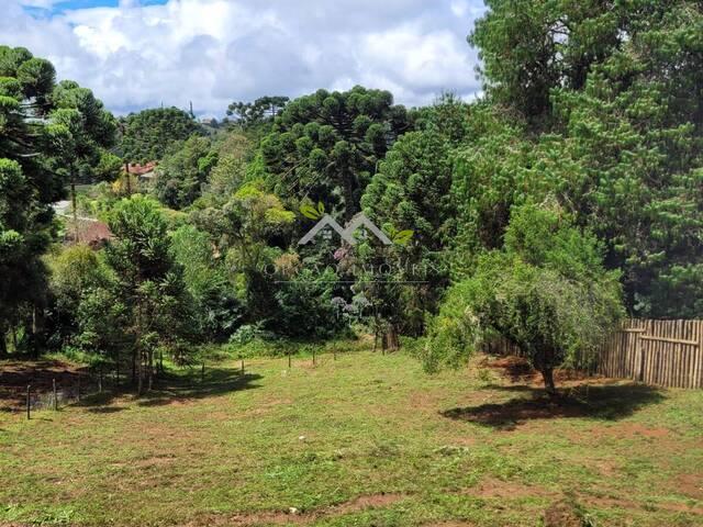 #t803a - Terreno para Venda em Campos do Jordão - SP - 3