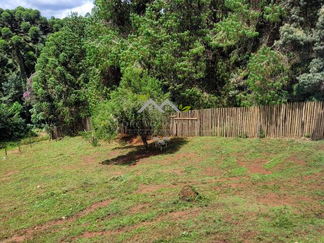 #t803a - Terreno para Venda em Campos do Jordão - SP - 2