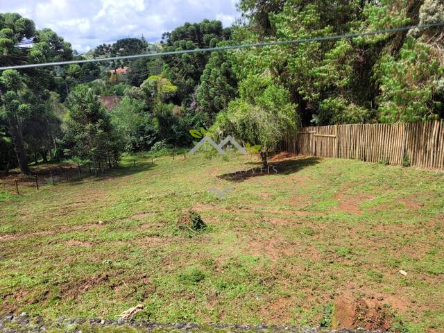 #t803a - Terreno para Venda em Campos do Jordão - SP - 1