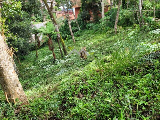 #2689 - Terreno para Venda em Campos do Jordão - SP - 2