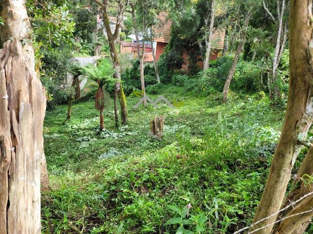 #2689 - Terreno para Venda em Campos do Jordão - SP - 1