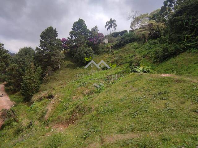 #t805a - Terreno para Venda em Campos do Jordão - SP - 2