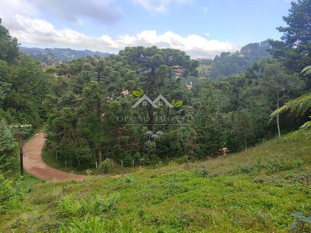 #t805a - Terreno para Venda em Campos do Jordão - SP - 1