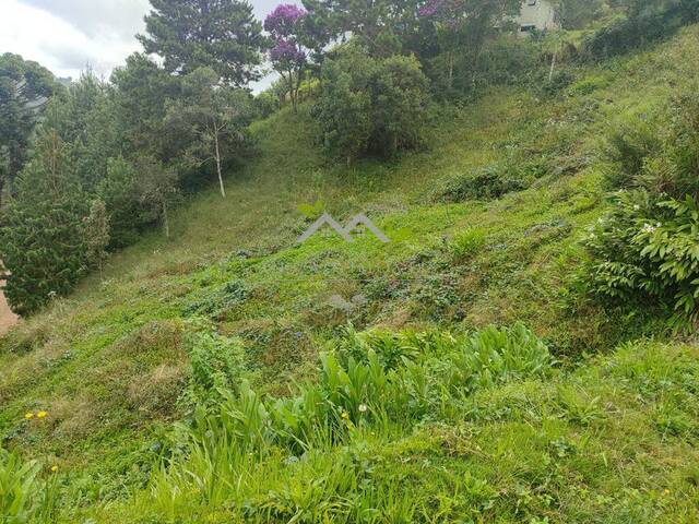 #t805a - Terreno para Venda em Campos do Jordão - SP - 3