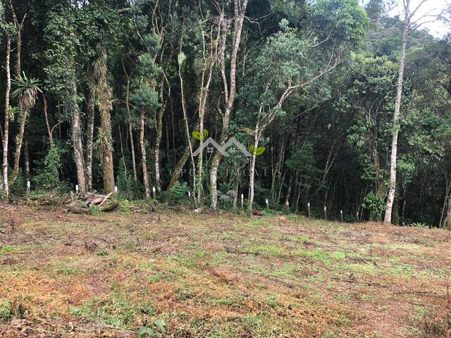 #t706a - Terreno para Venda em Campos do Jordão - SP - 2