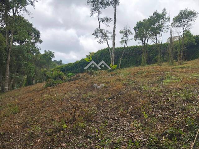 #t706a - Terreno para Venda em Campos do Jordão - SP - 3