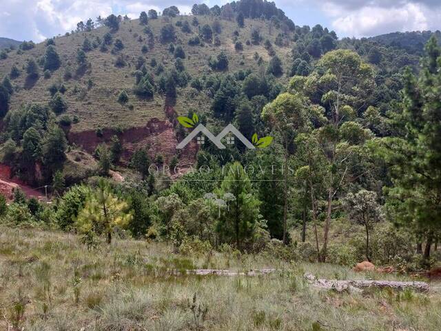 #t807a - Área para Venda em Campos do Jordão - SP - 3