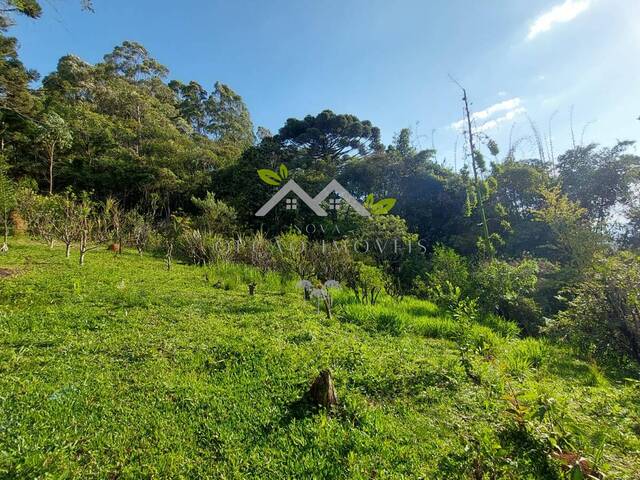 #c2153a - Casa para Venda em Campos do Jordão - SP - 3