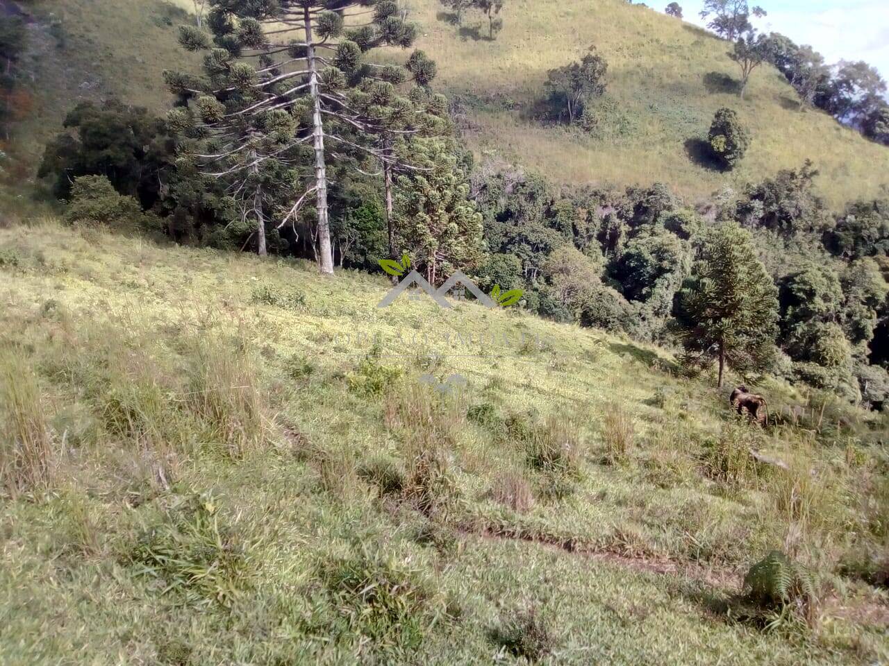 Terreno à venda, 30m² - Foto 17