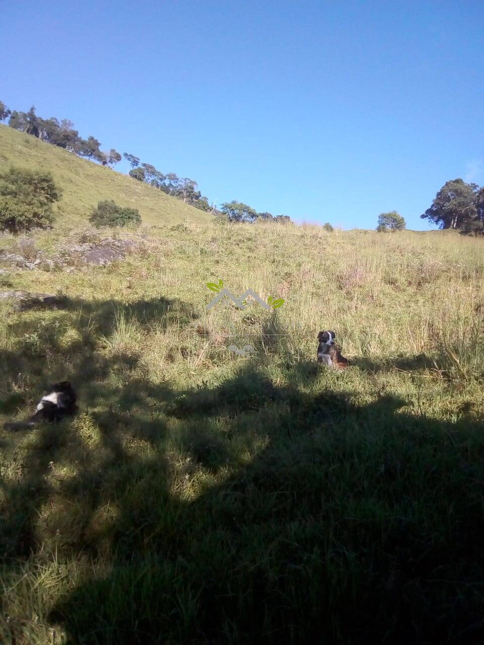 Terreno à venda, 30m² - Foto 23