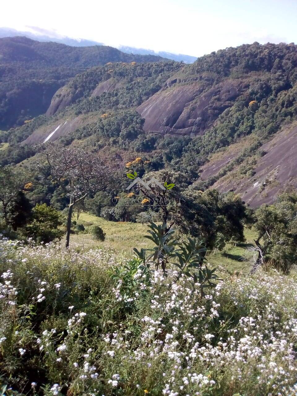 Terreno à venda, 30m² - Foto 10