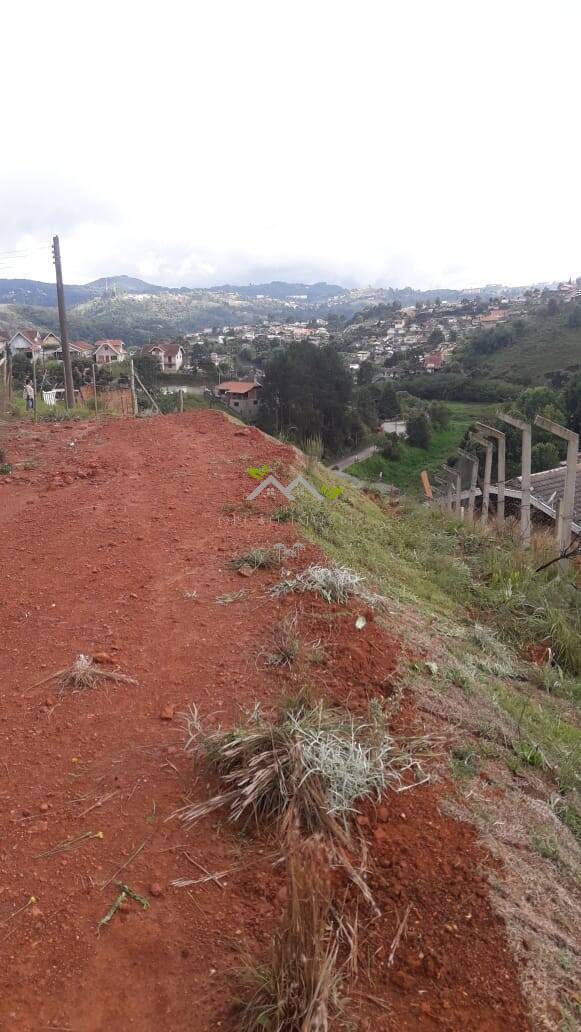 Terreno à venda, 500m² - Foto 4