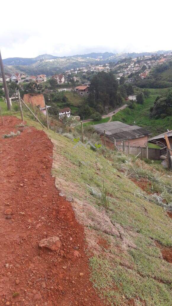 Terreno à venda, 500m² - Foto 5