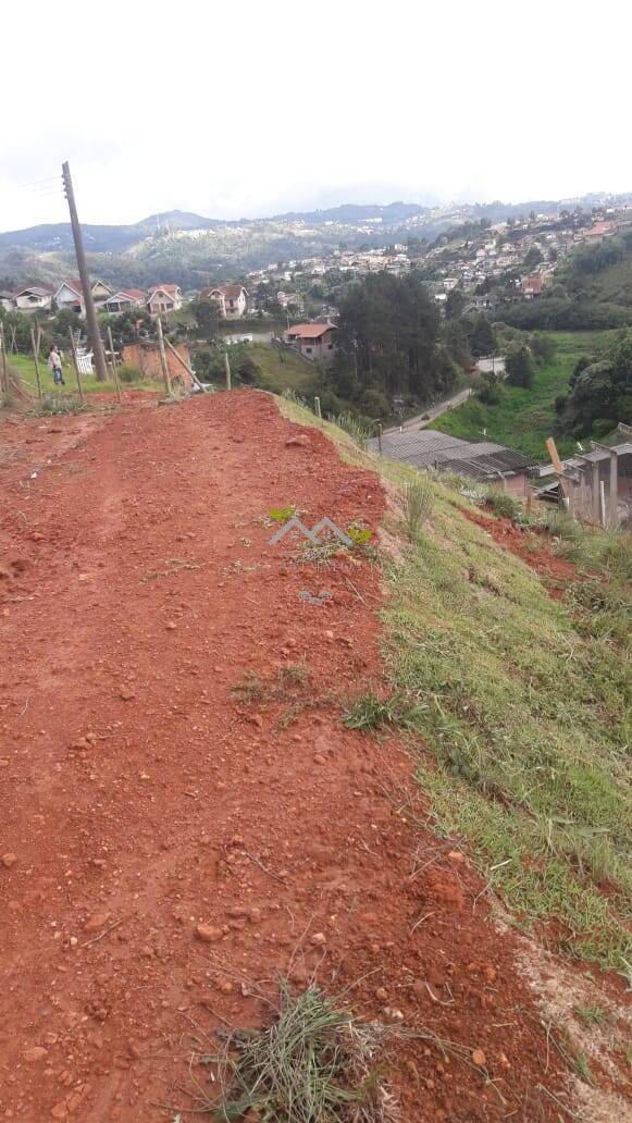 Terreno à venda, 500m² - Foto 2