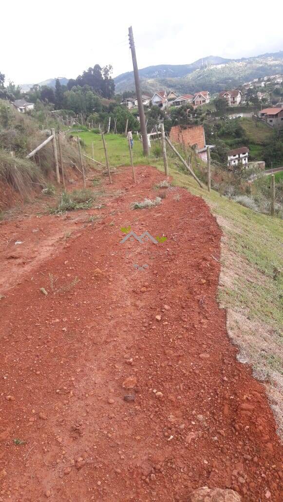 Terreno à venda, 500m² - Foto 3