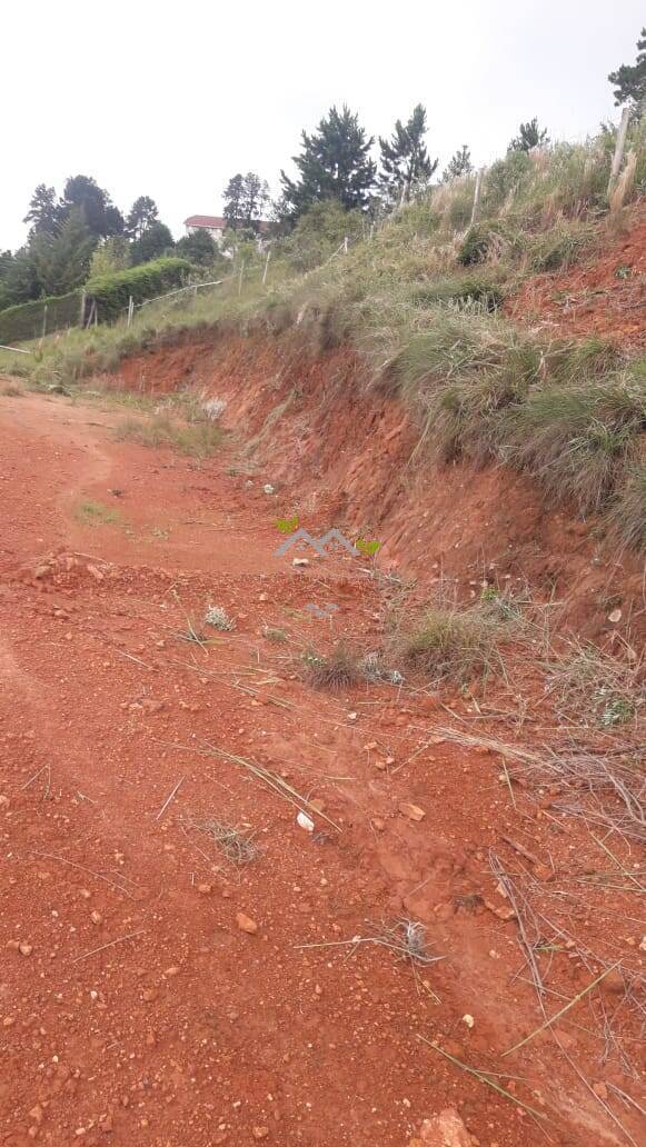 Terreno à venda, 500m² - Foto 12