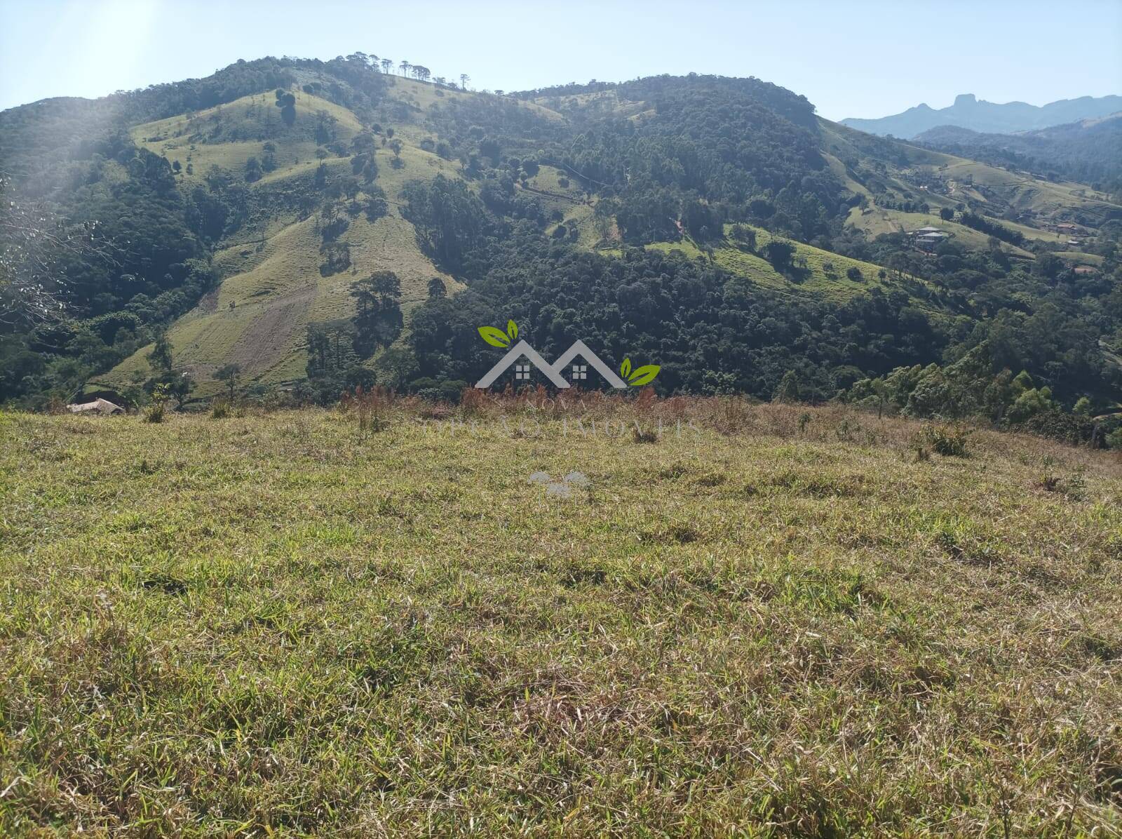 Terreno à venda - Foto 3