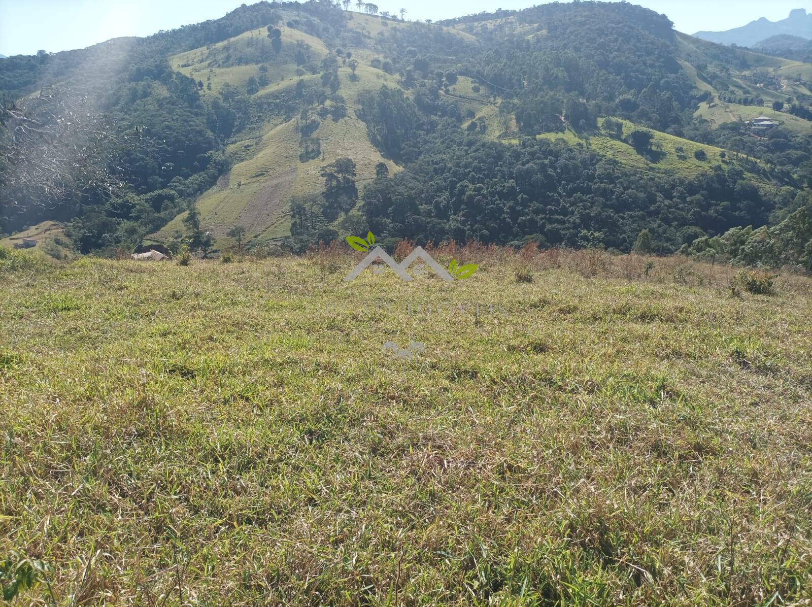 Terreno à venda - Foto 6