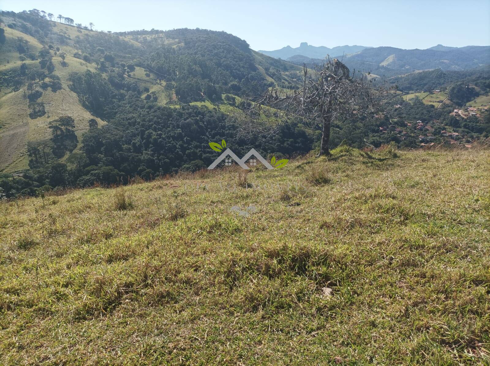 Terreno à venda - Foto 4