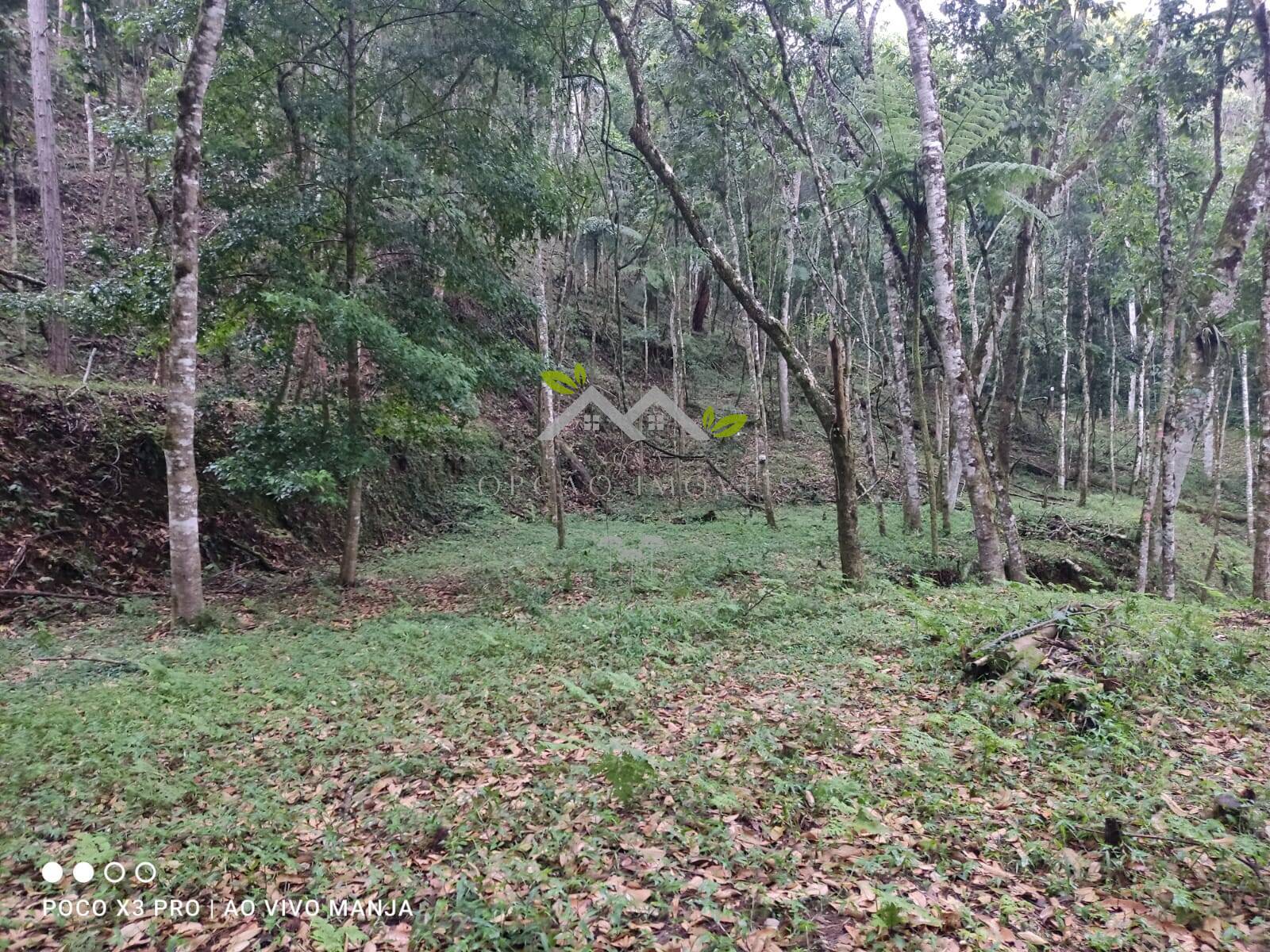 Terreno à venda, 5000m² - Foto 1