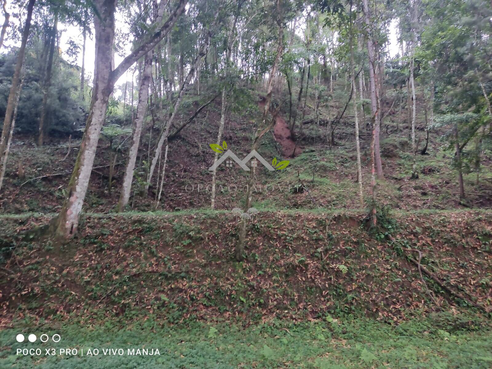 Terreno à venda, 5000m² - Foto 3