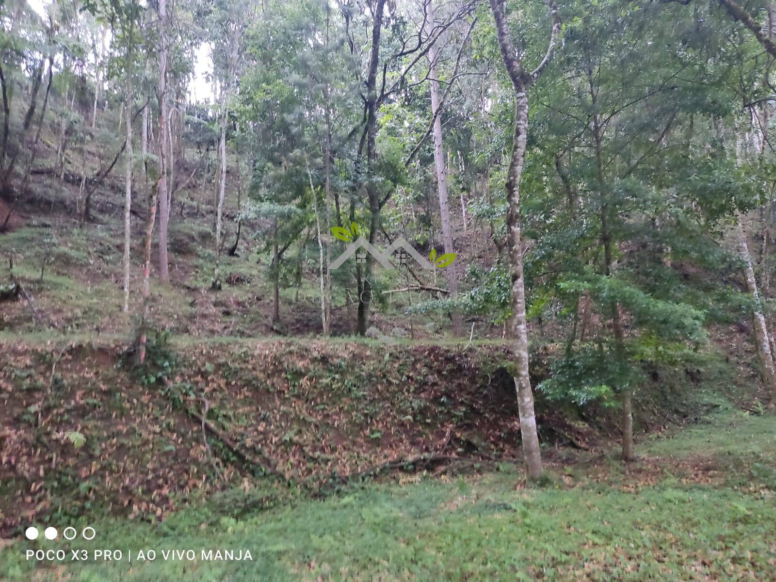 Terreno à venda, 5000m² - Foto 4