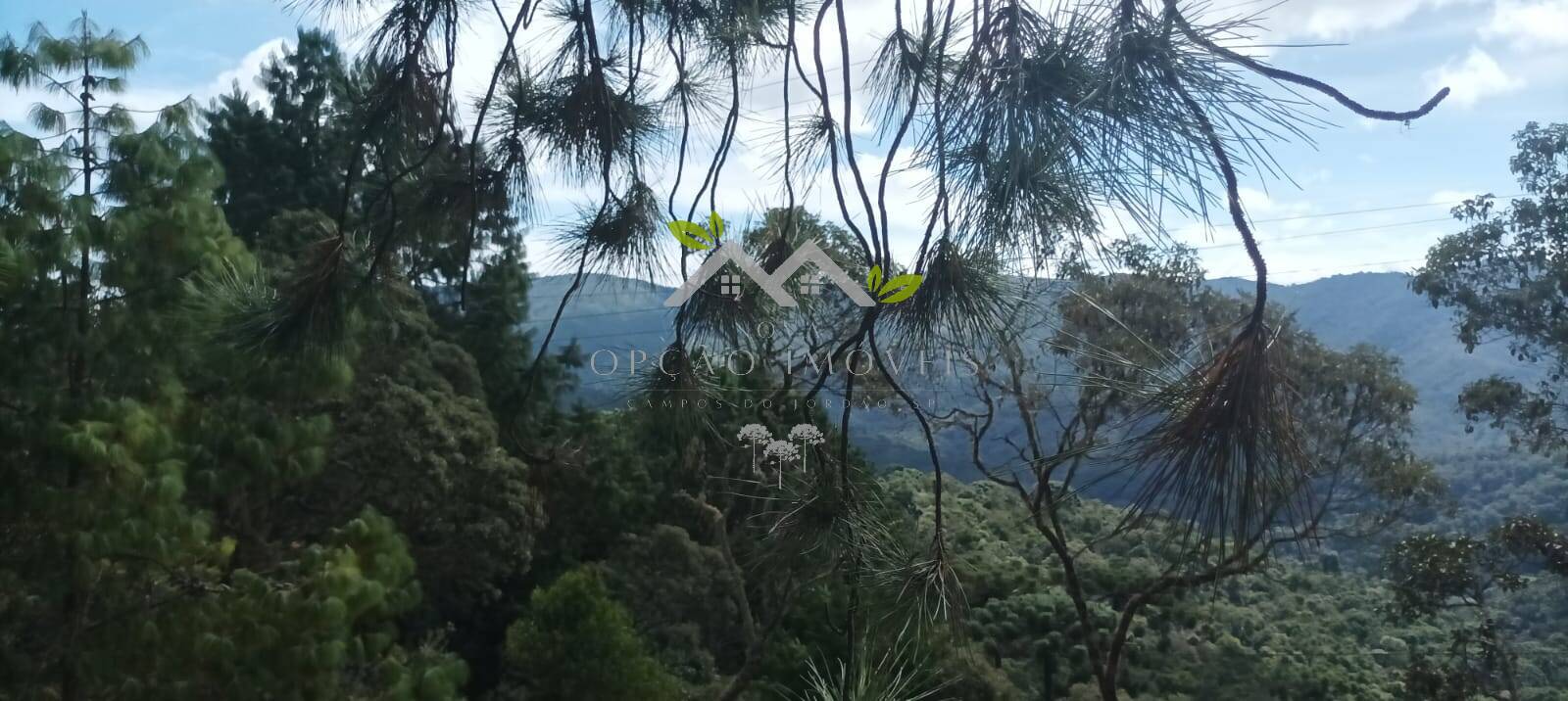 Terreno à venda, 5300m² - Foto 14