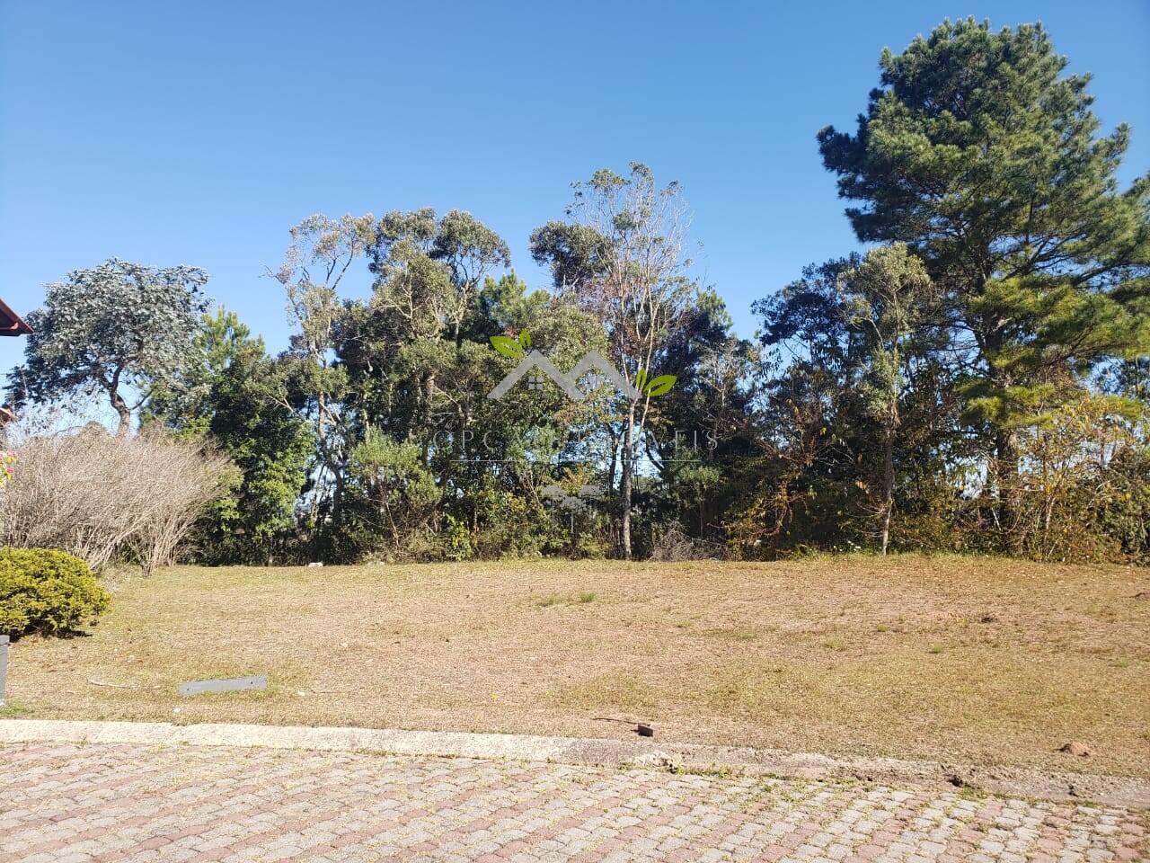 Terreno à venda, 250m² - Foto 3