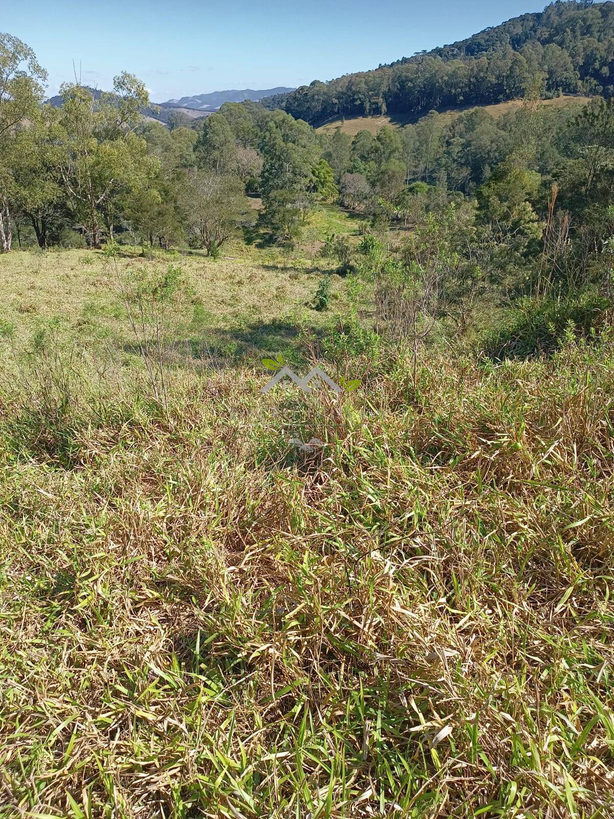 Terreno à venda, 30500m² - Foto 1