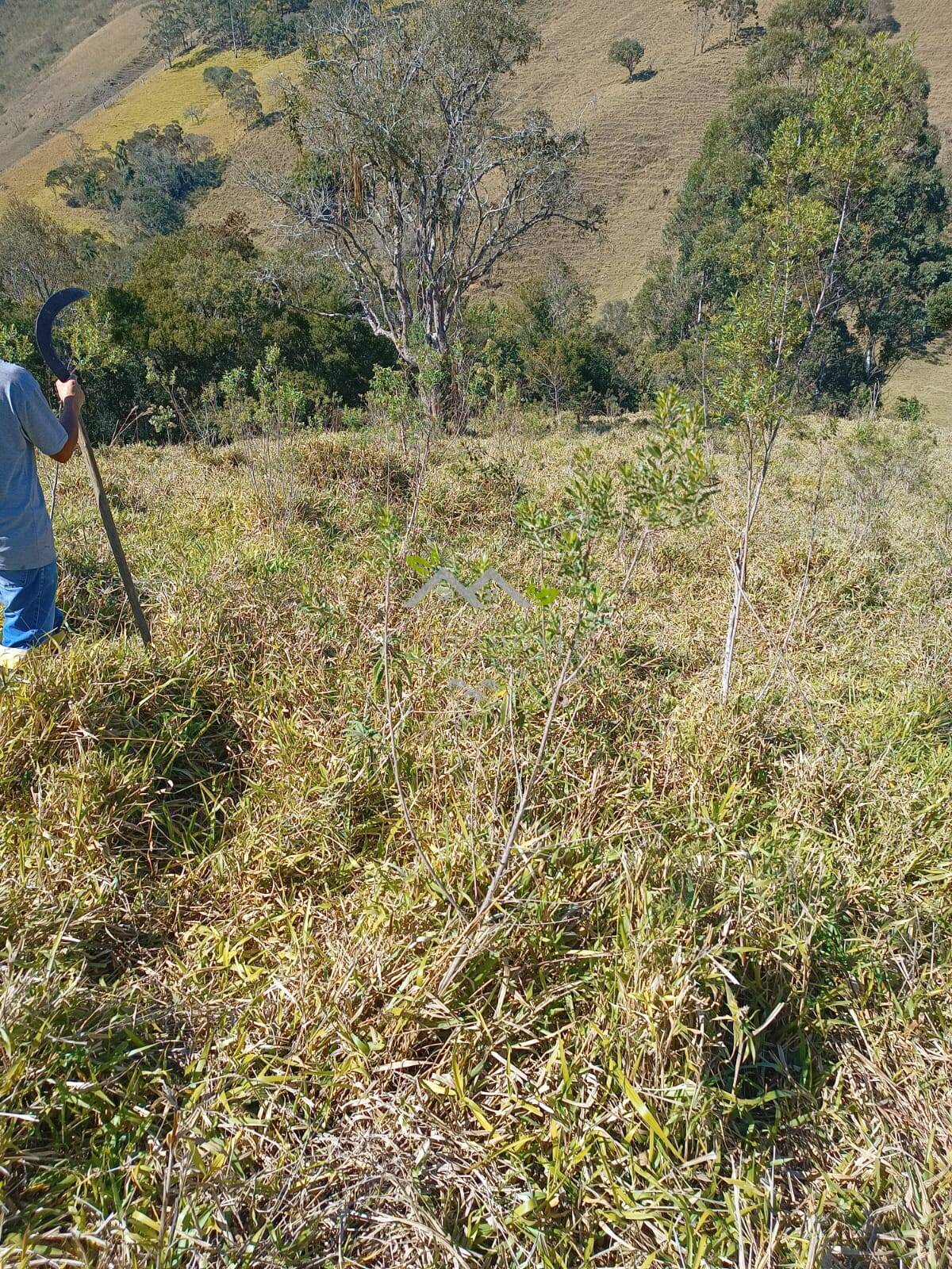 Terreno à venda, 30500m² - Foto 7