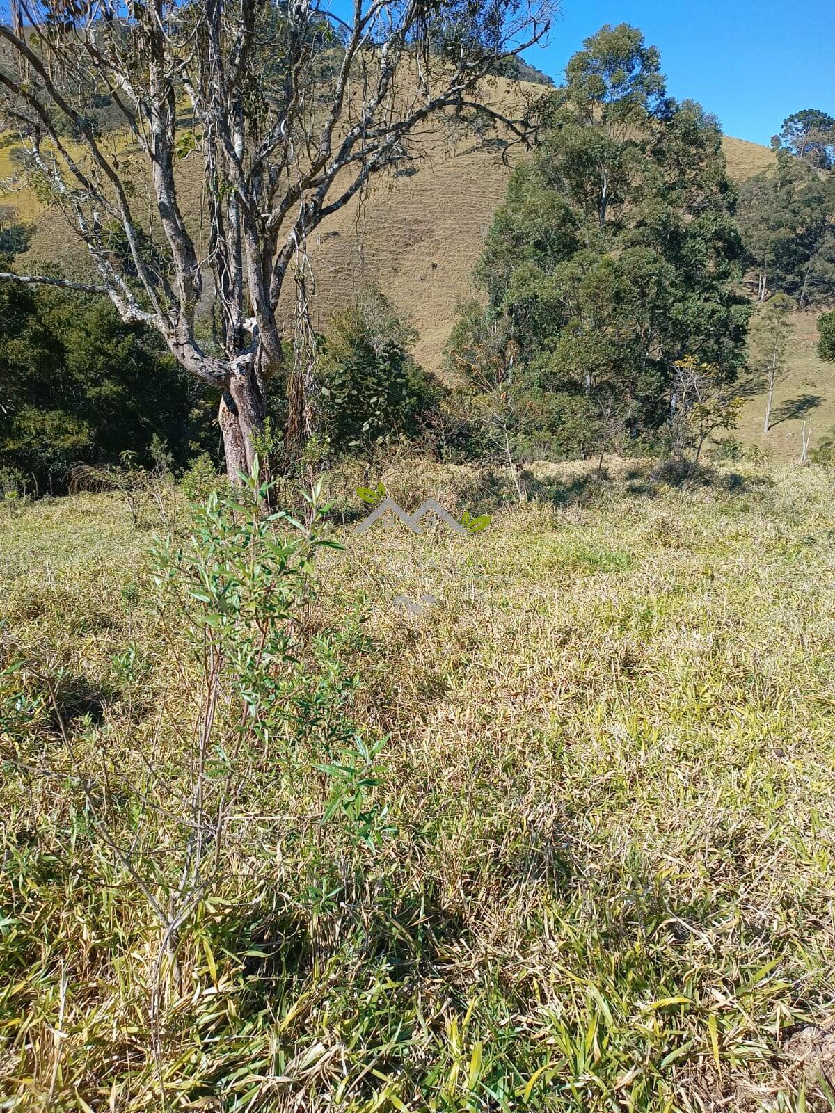 Terreno à venda, 30500m² - Foto 5