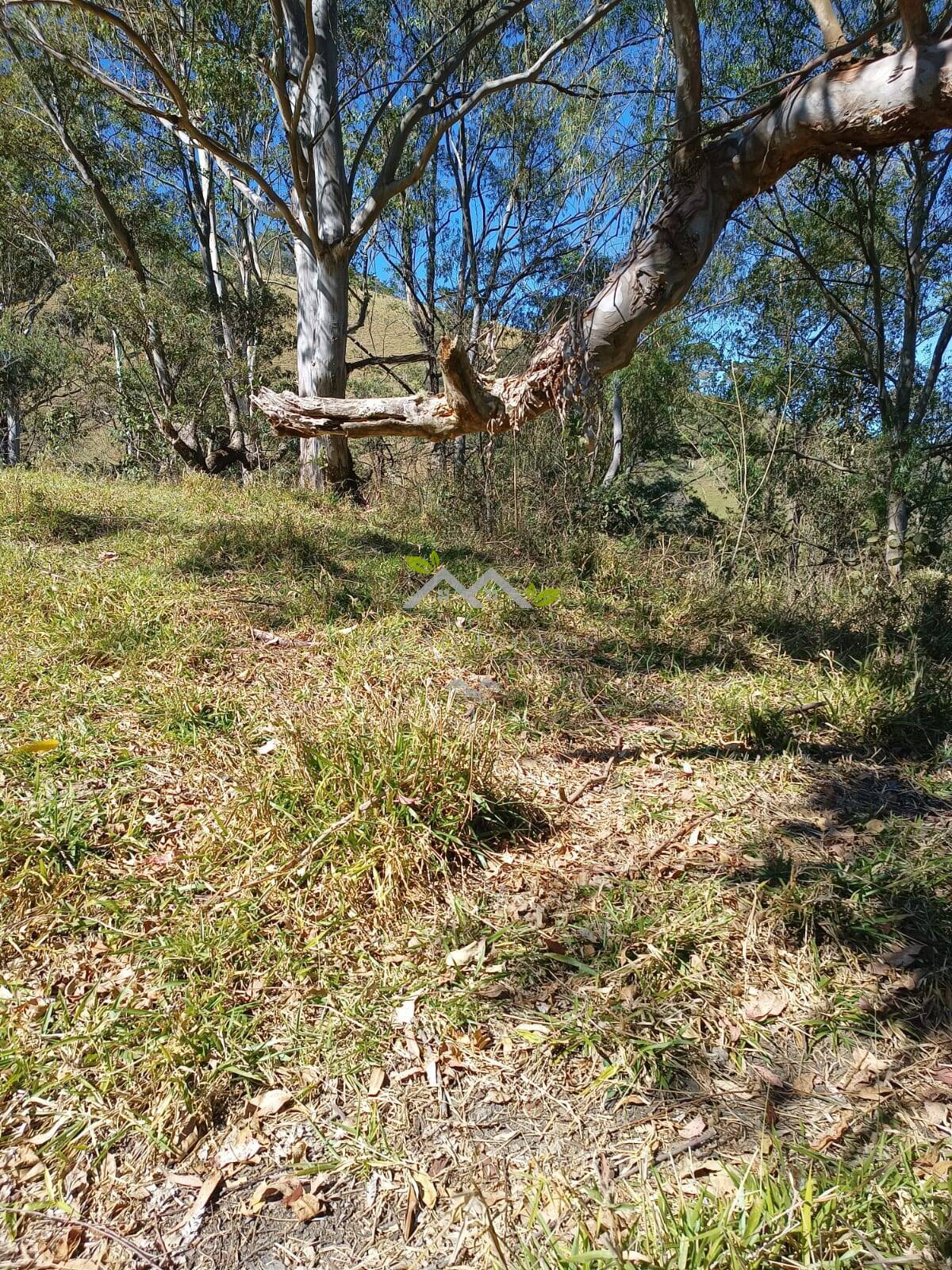 Terreno à venda, 30500m² - Foto 8