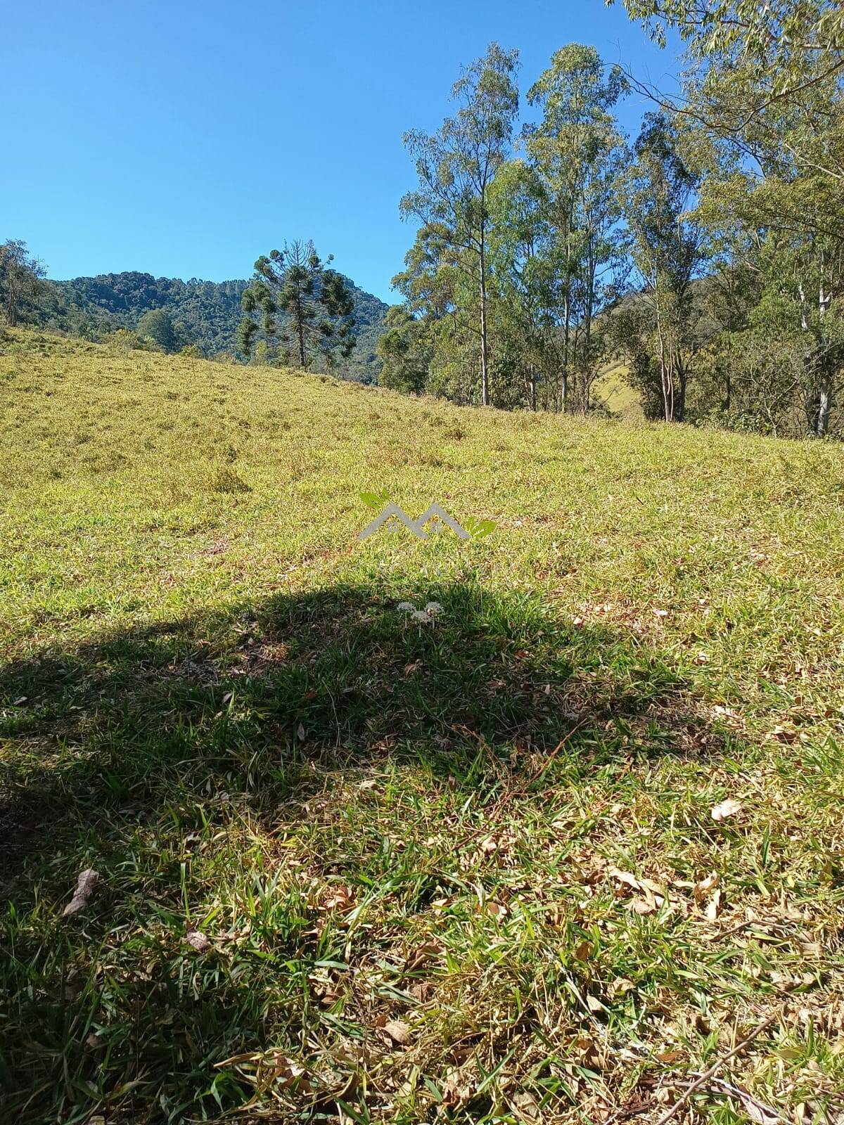 Terreno à venda, 30500m² - Foto 2