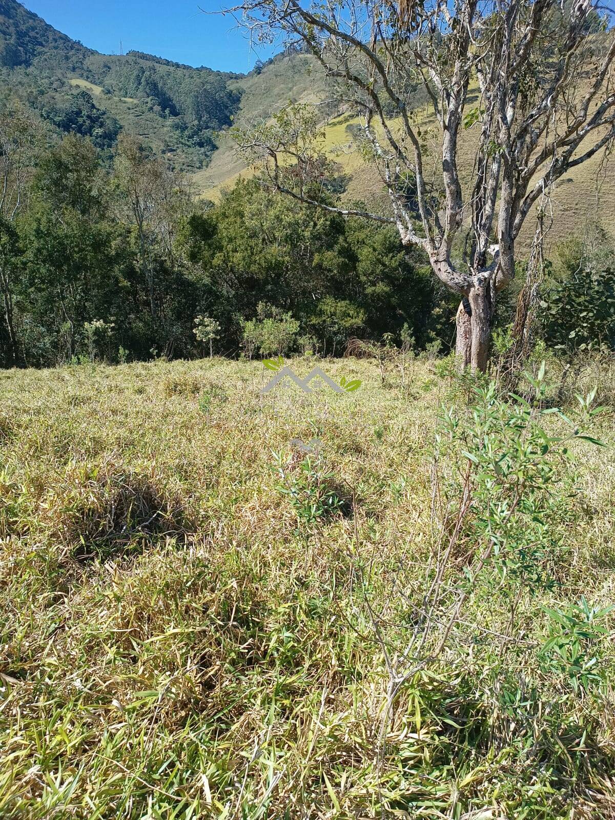 Terreno à venda, 30500m² - Foto 6