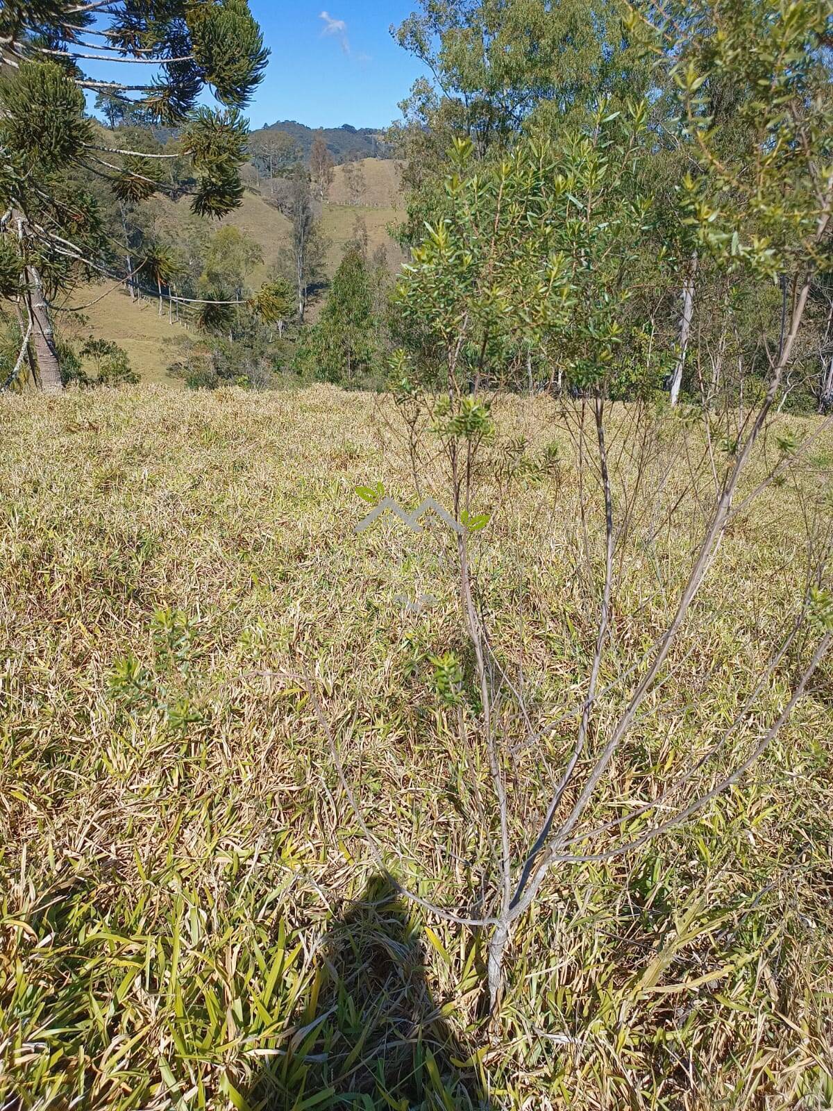 Terreno à venda, 30500m² - Foto 3