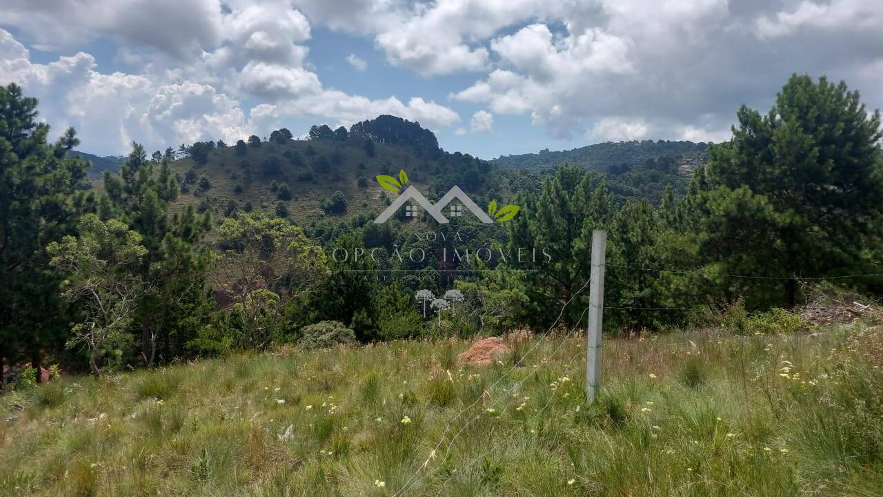 Terreno à venda, 1048m² - Foto 2