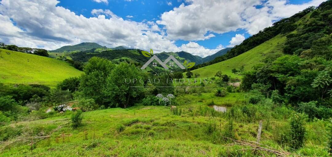 Fazenda à venda e aluguel com 3 quartos, 160m² - Foto 4