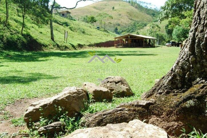 Fazenda à venda com 1 quarto, 200m² - Foto 2