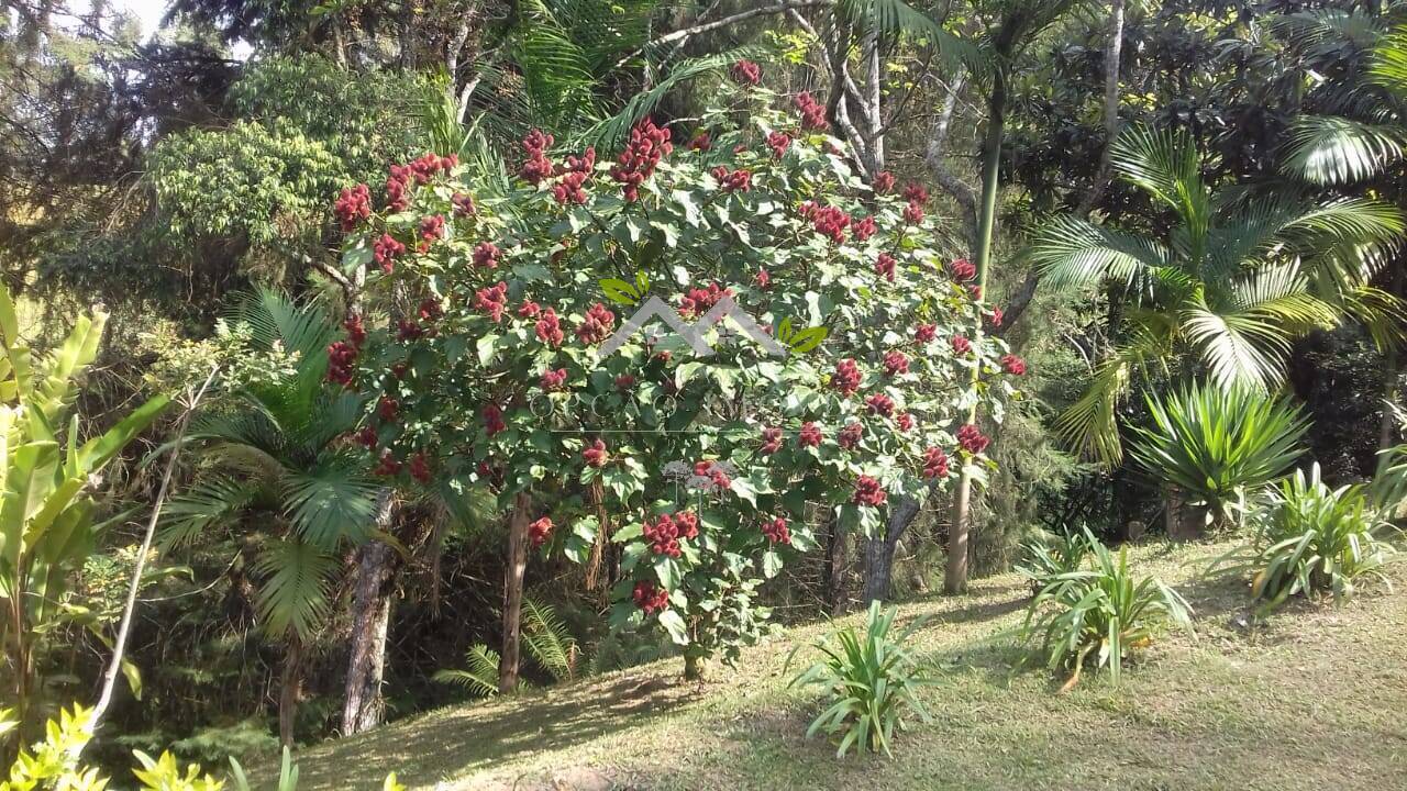 Fazenda à venda com 3 quartos, 94m² - Foto 37